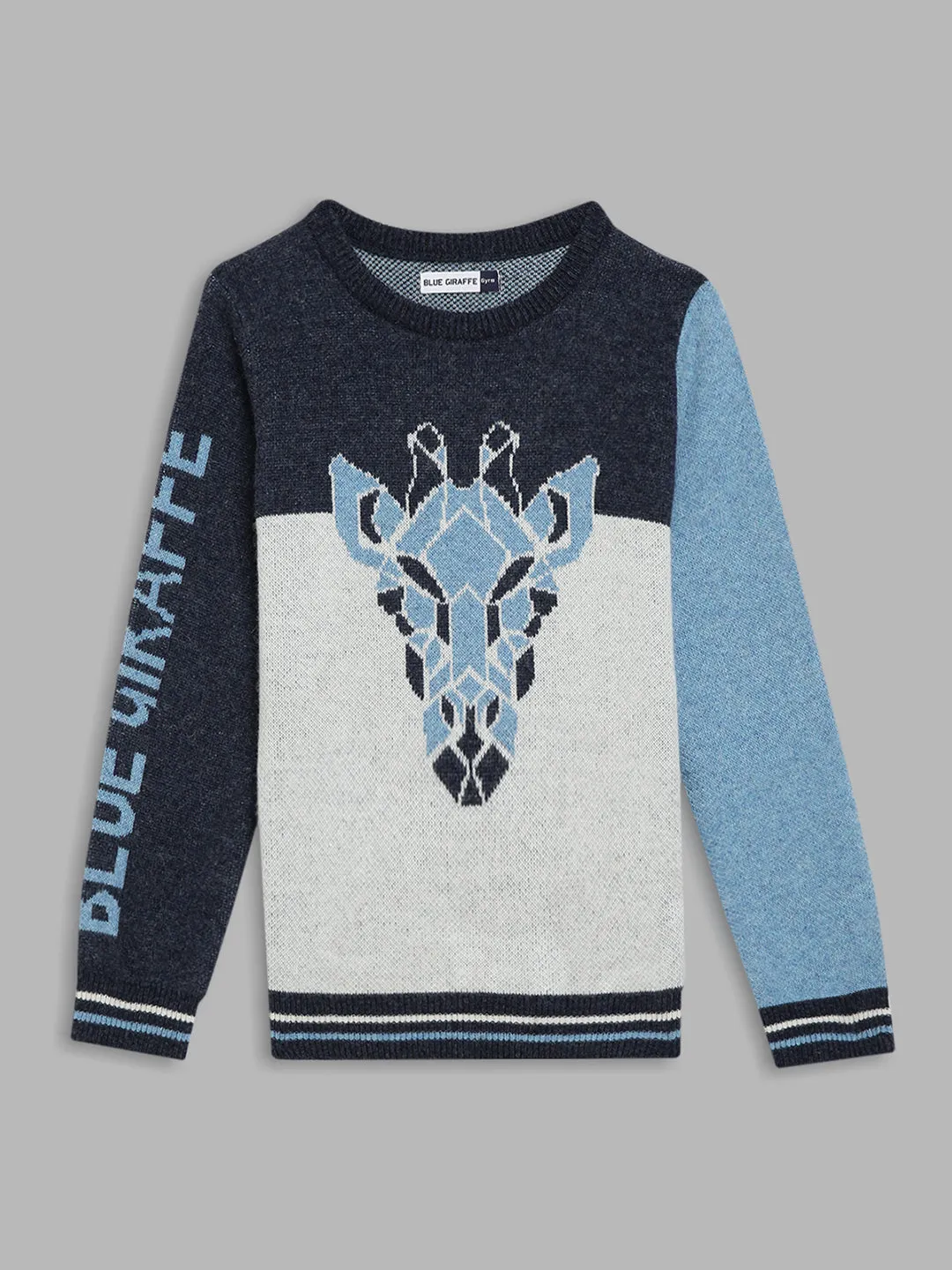 Blue Giraffe Boys Blue Colour blocked Round Neck Sweater