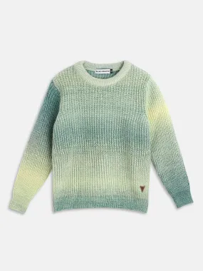 Blue Giraffe Boys Multi Solid Round Neck Sweater