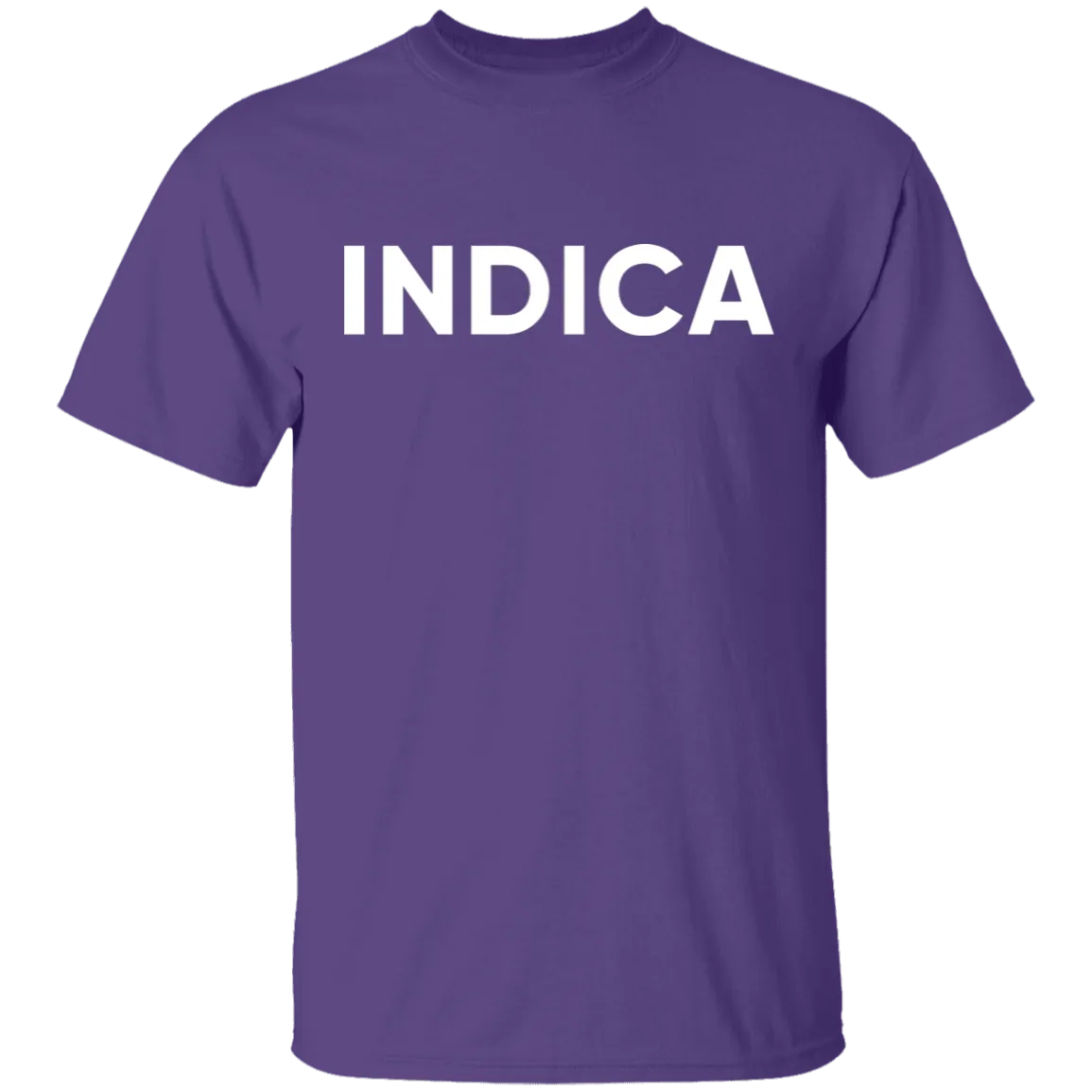 Indica T-Shirt