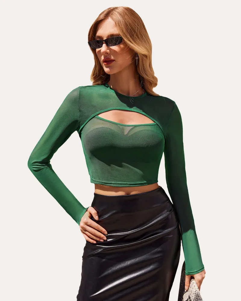 Long Sleeve Mesh Crop Top See Through Shirt