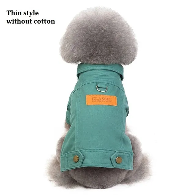 Winter Dog Jackets - Denim and Trench Coat